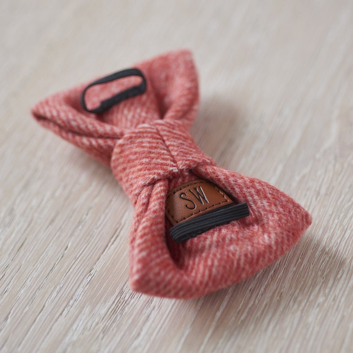 Orange Tweed Dog Bow Tie - Sweet William