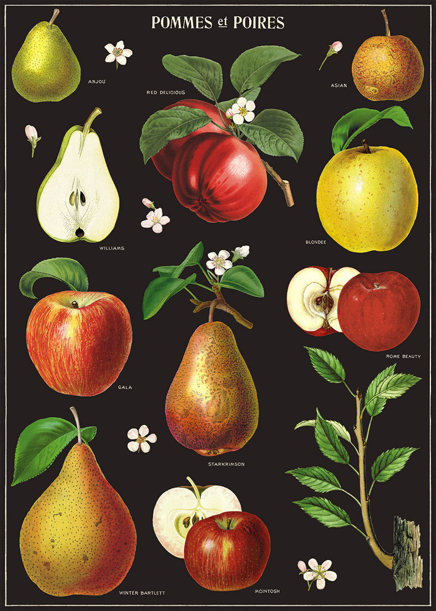 Apples & Pears Poster