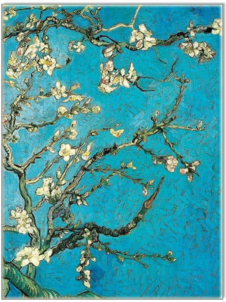 Flame Tree Card - Almond Blossom