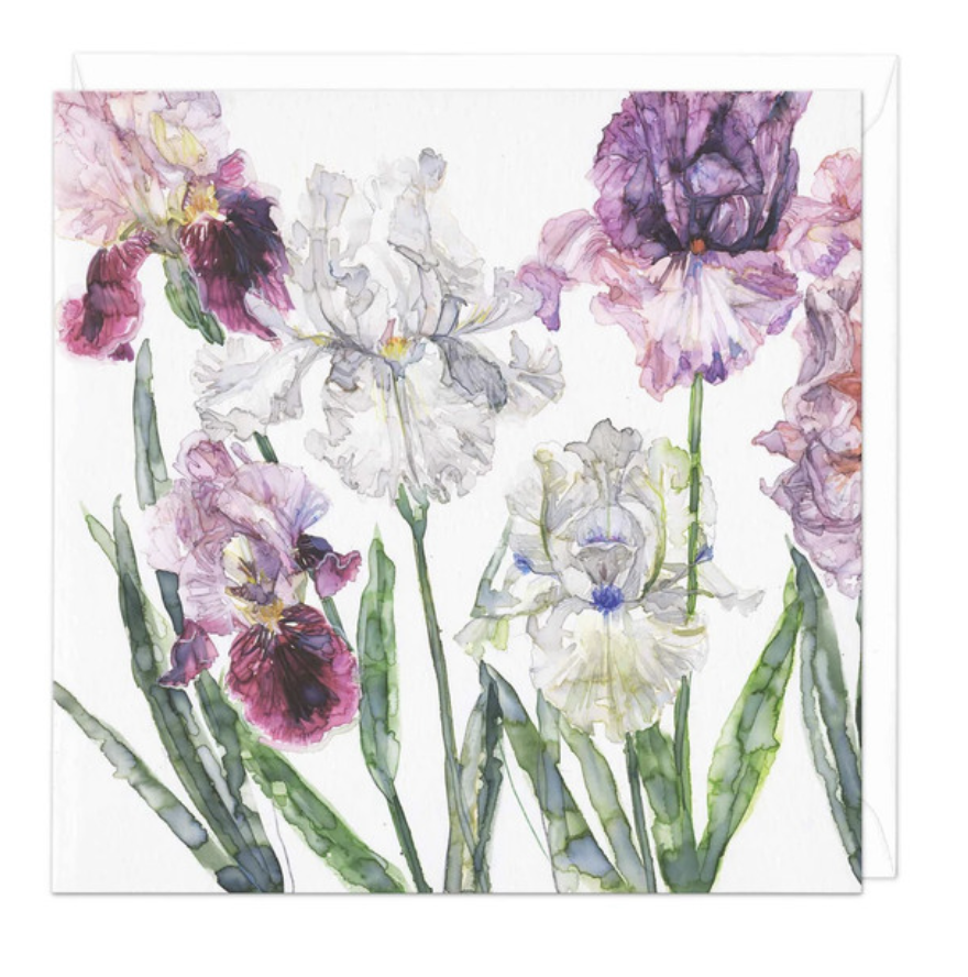 Whistlefish Card - Bearded Irises