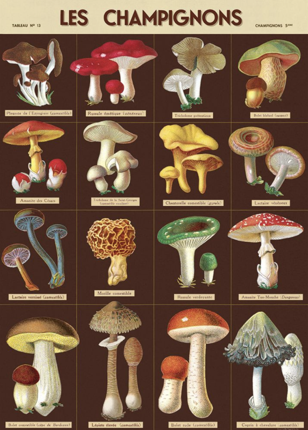 Les Champignons Poster