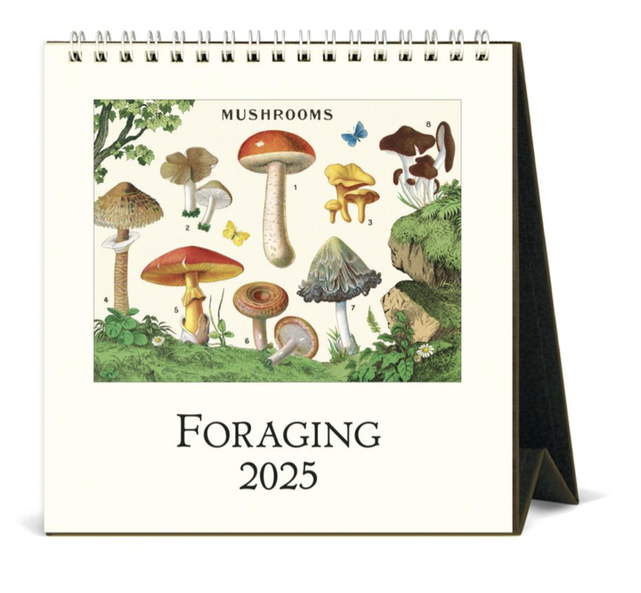 Cavallini 2025 Desk Calendar - Foraging