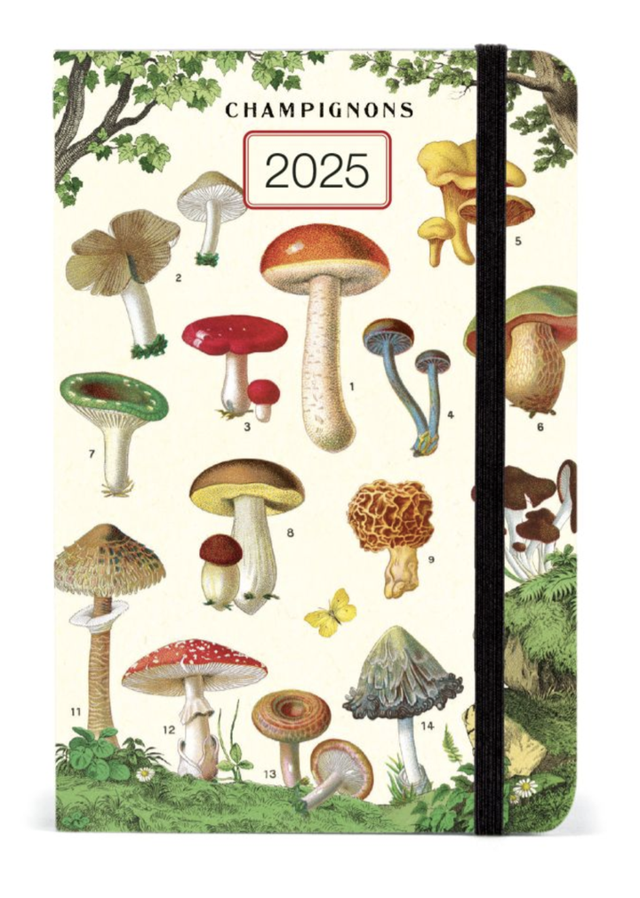 Cavallini 2025 Weekly Planner - Mushrooms