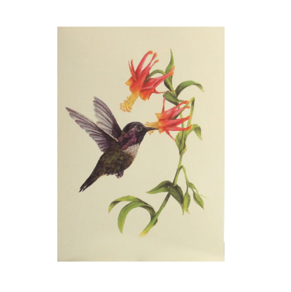 Paula Skene Card - Hummingbird