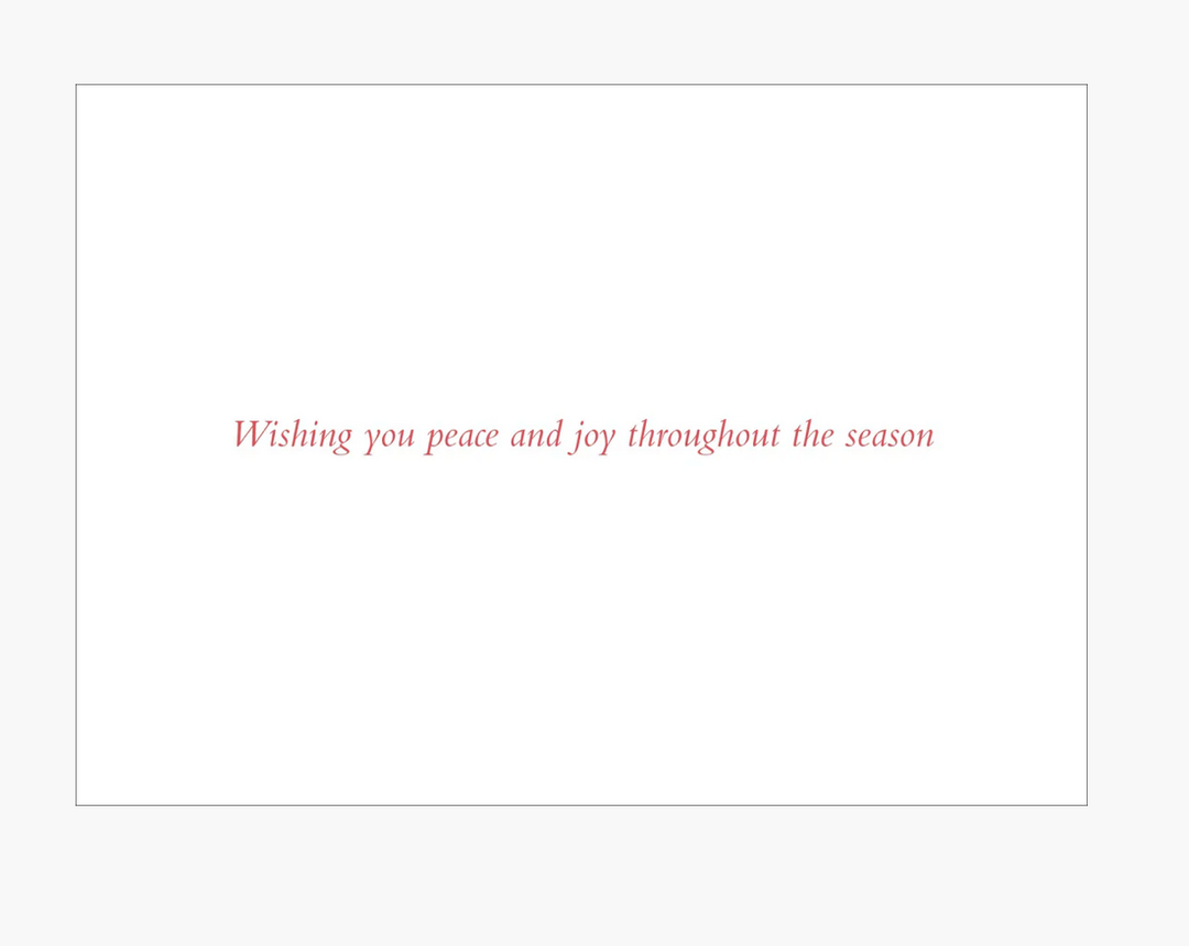 Deluxe Boxed Christmas Cards - Wings Of Joy