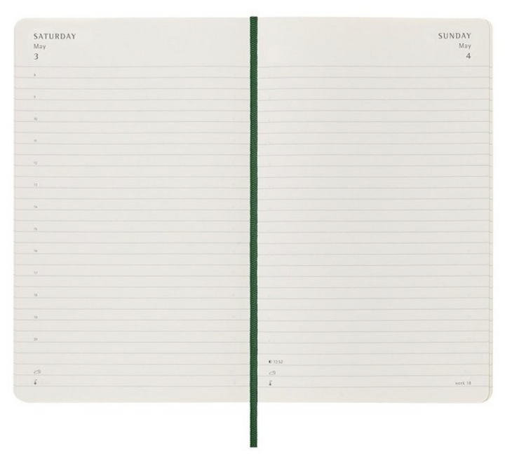 2025 Large Soft Cover Daily Diary - Myrtle Green