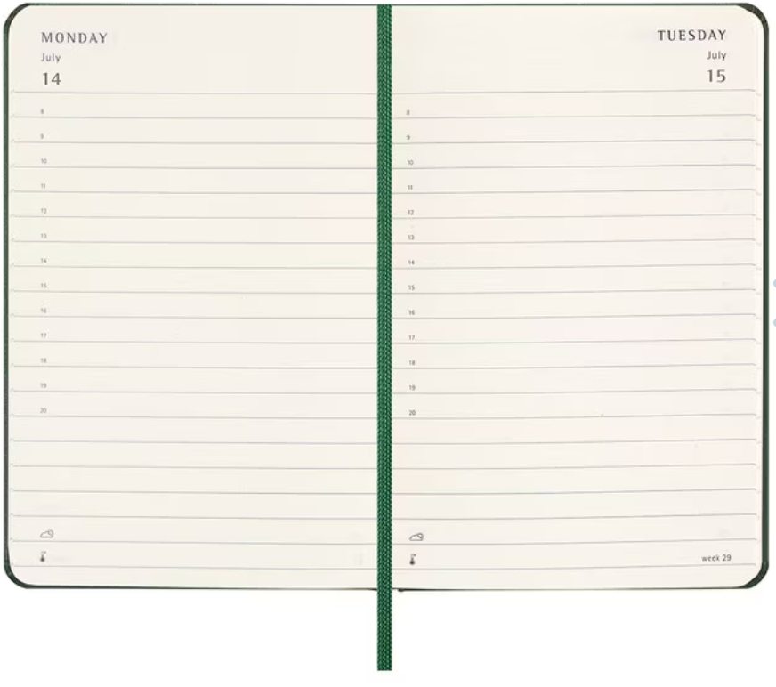 2025 Large Hard Cover Daily Diary - Myrtle Green