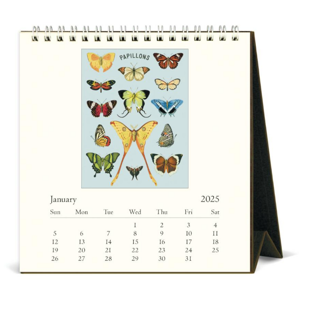 Cavallini 2025 Desk Calendar - Papillons