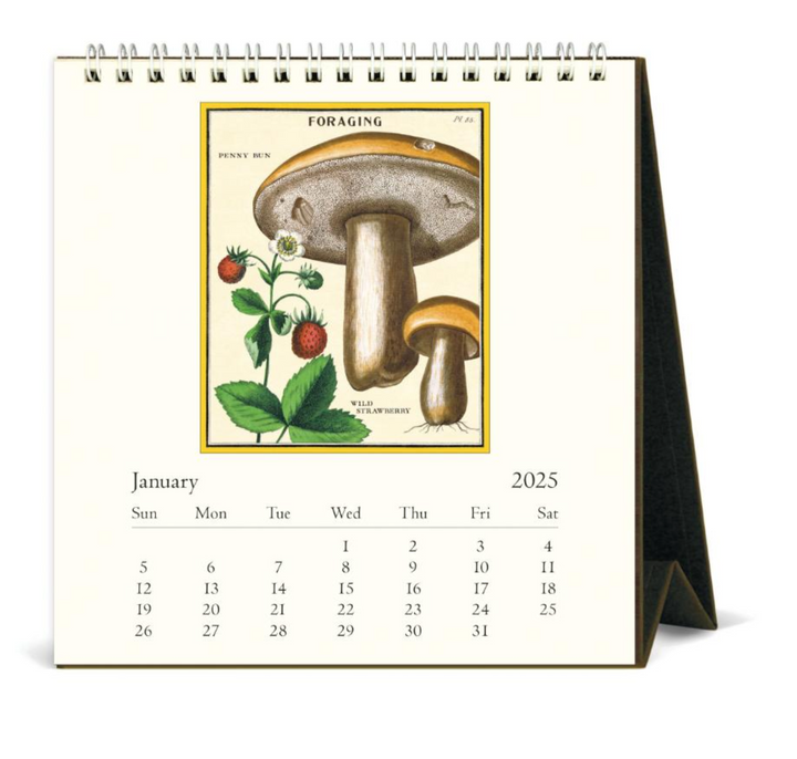 Cavallini 2025 Desk Calendar - Foraging