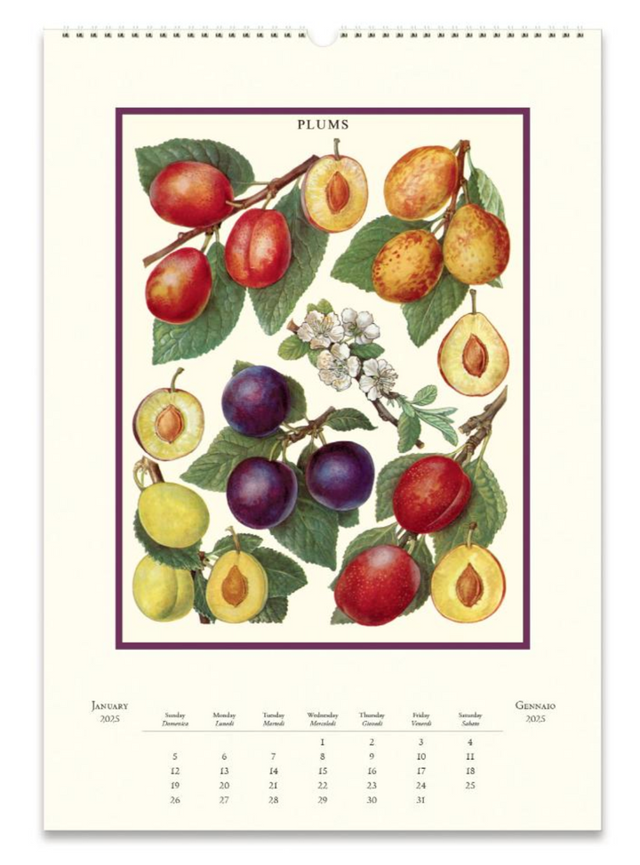 Cavallini 2025 Wall Calendar - Farmers Market