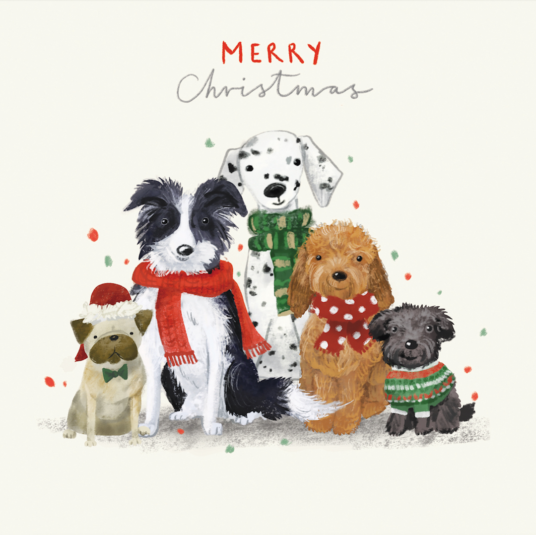 CMRI Christmas Cards - Furry Friends