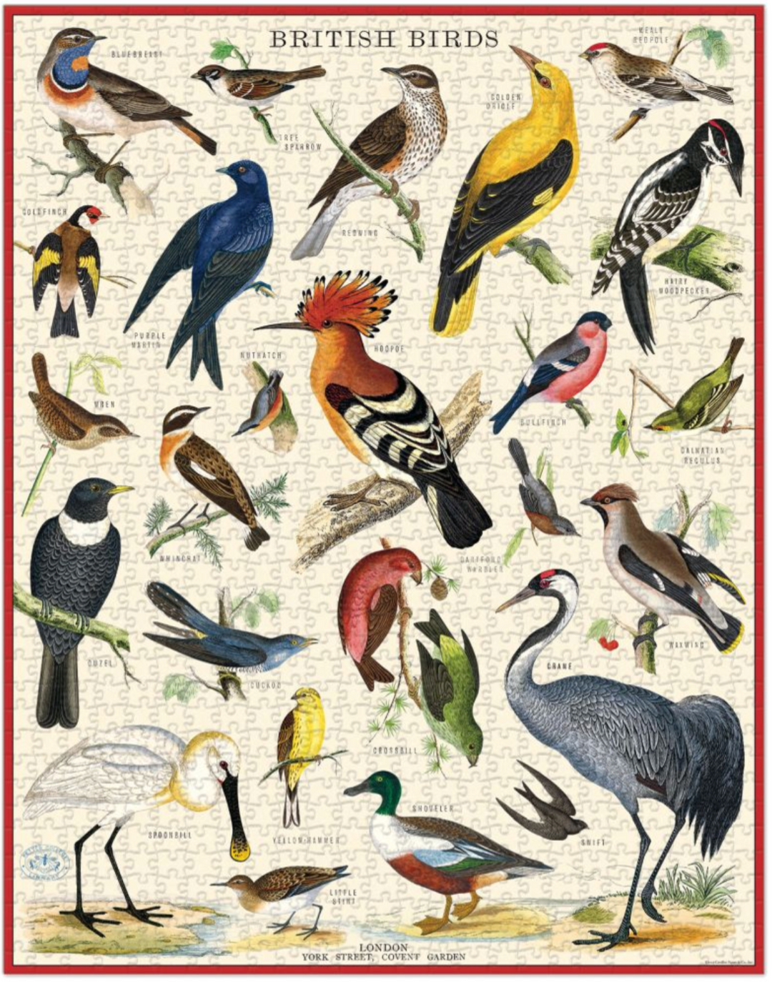 Cavallini & Co. 1000 Piece Puzzle - British Birds