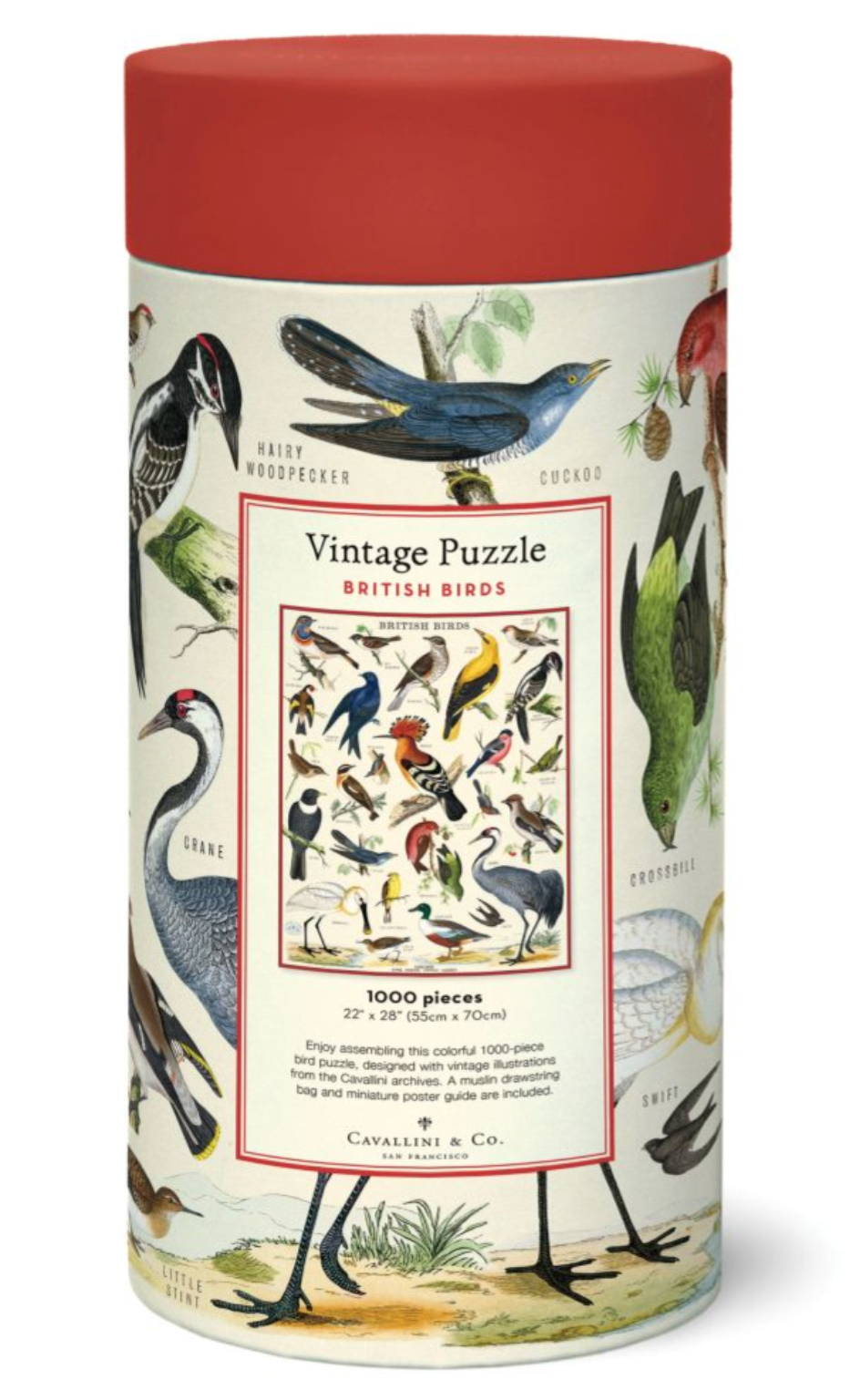 Cavallini & Co. 1000 Piece Puzzle - British Birds