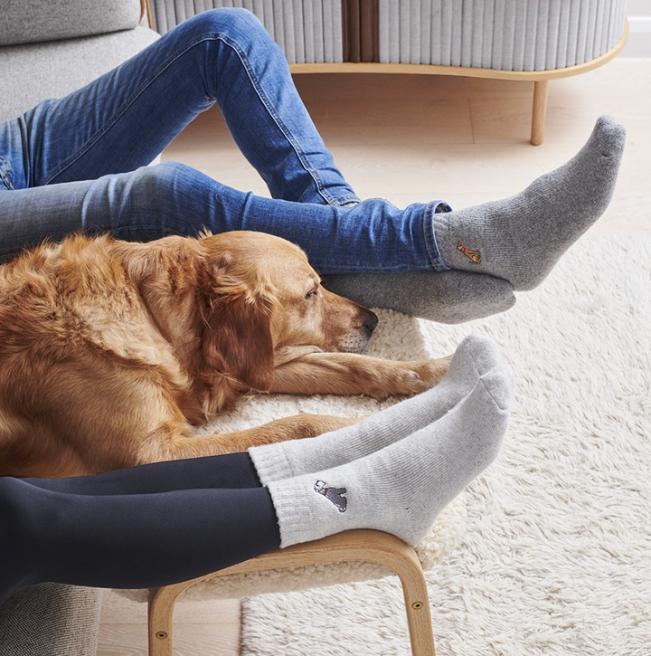 Sweet William Wool Socks - Westie