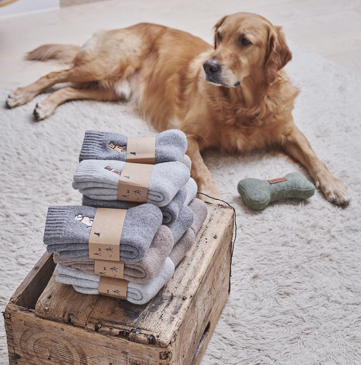 Sweet William Wool Socks - Westie