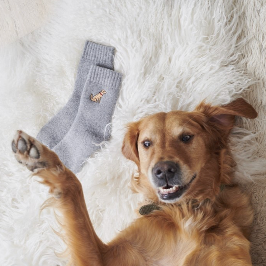 Sweet William Wool Socks - Golden Retriever