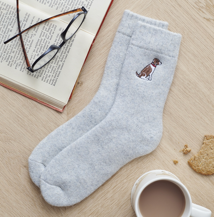 Sweet William Wool Socks - Springer Spaniel (Liver & White)