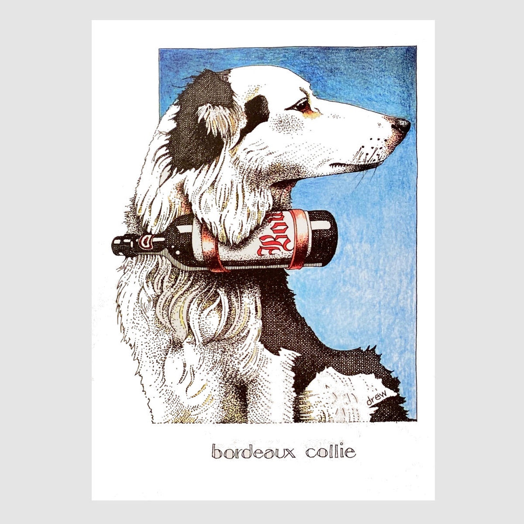 Simon Drew Card - Bordeaux Collie