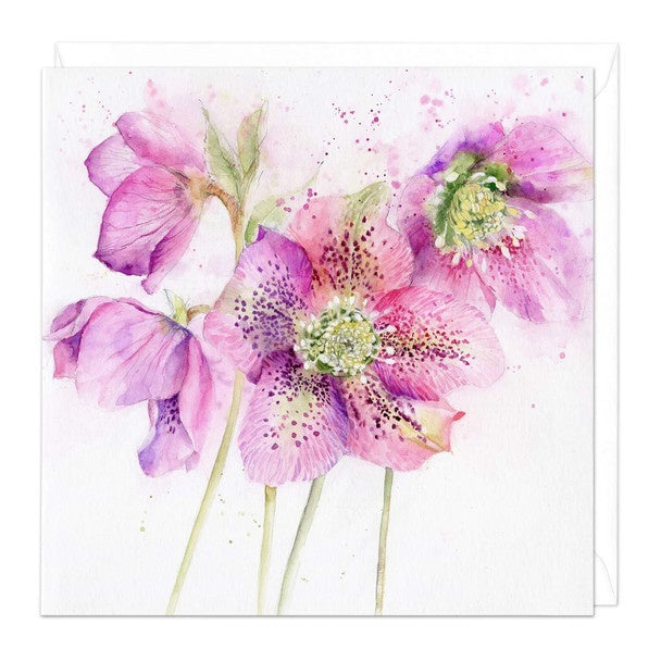 Whistlefish Card - Eddington - Hellebores