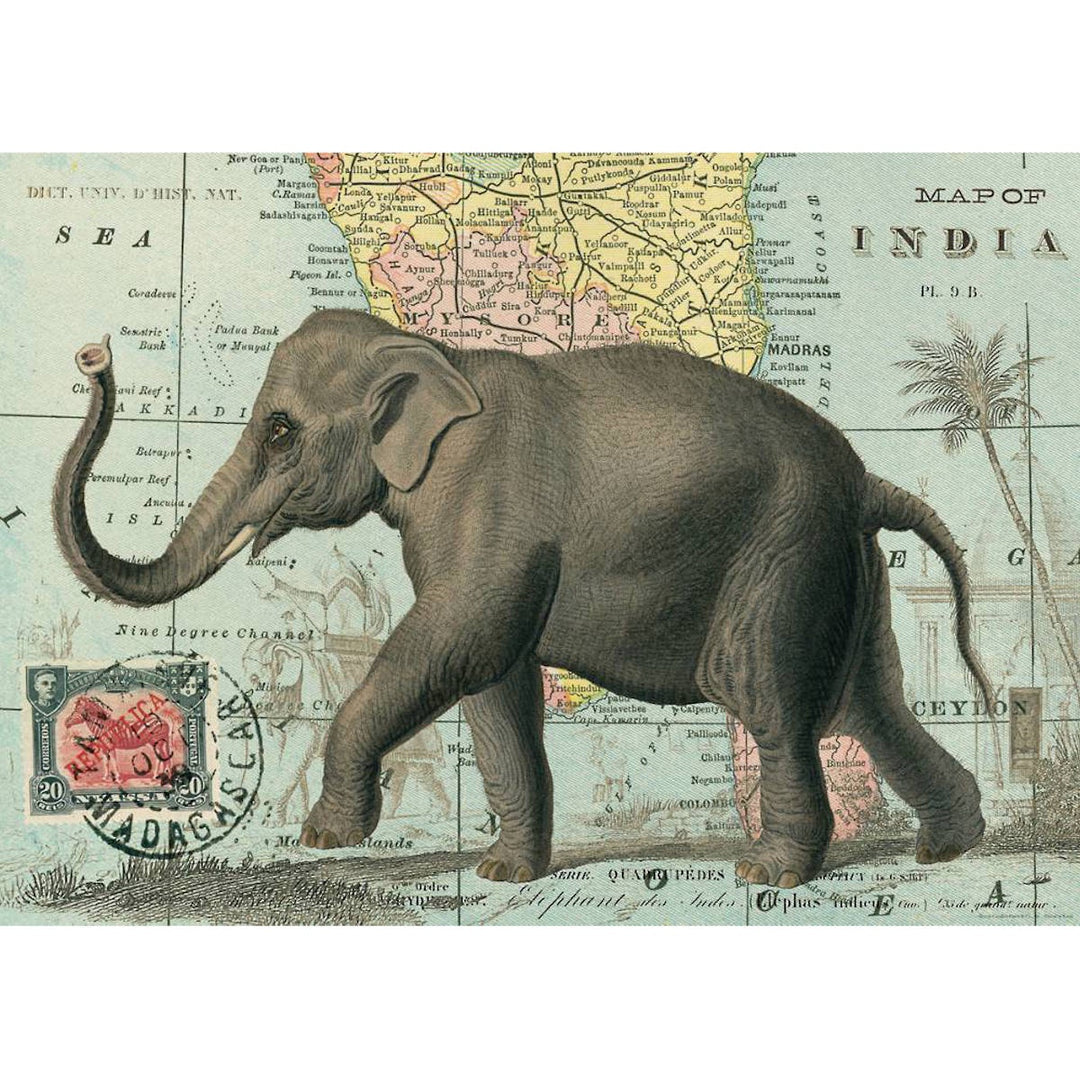 Elephant Poster