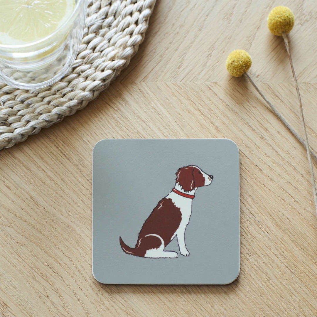 Single Coaster - Liver and White Springer Spaniel