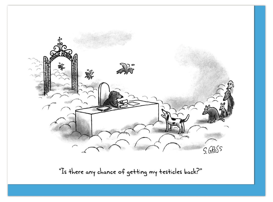 The New Yorker Card -  Doggie Heaven