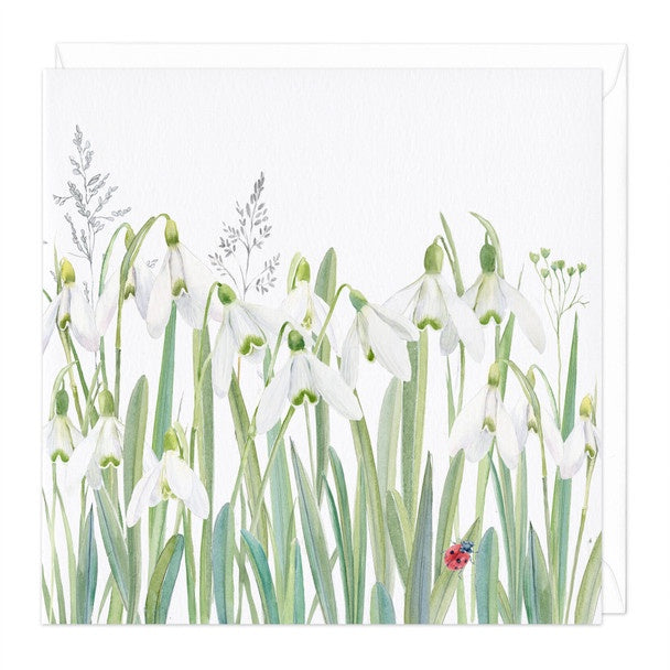 Whistlefish Card - Snowdrops by Rose Eddington